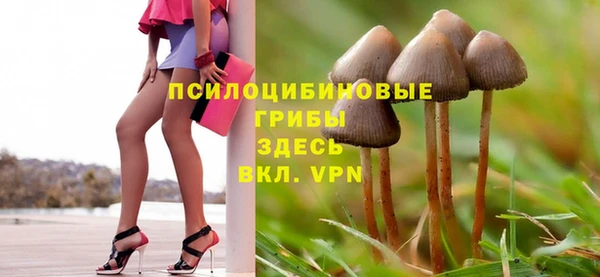 МДПВ Вязники