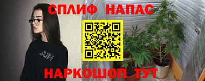 ALPHA PVP Пугачёв