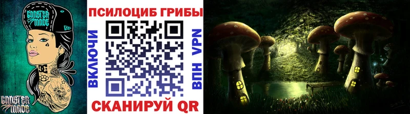 Псилоцибиновые грибы Psilocybe  где можно купить наркотик  Волхов 