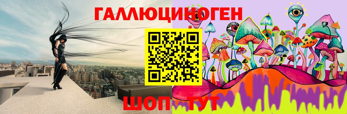 Волхов  Галлюциногенные грибы Psilocybine cubensis  Вход с VPN 